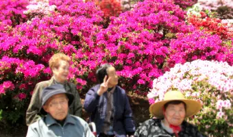 長寿園：ショートステイ