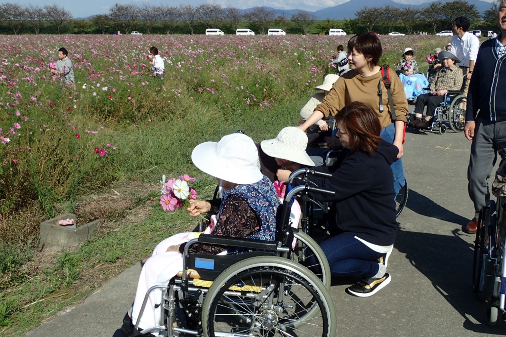 ほっこりうどん と コスモス と