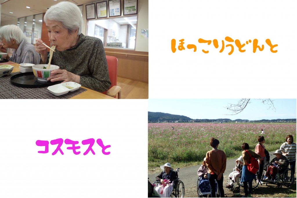 ほっこりうどん と コスモス と