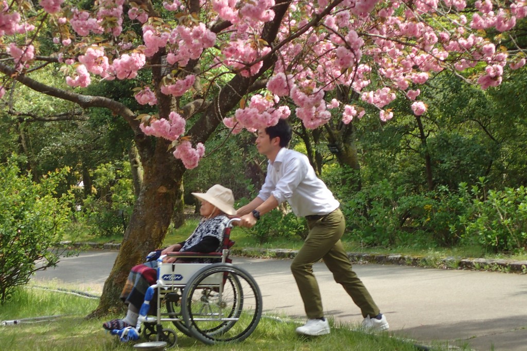 お花見 in グリーンセンター