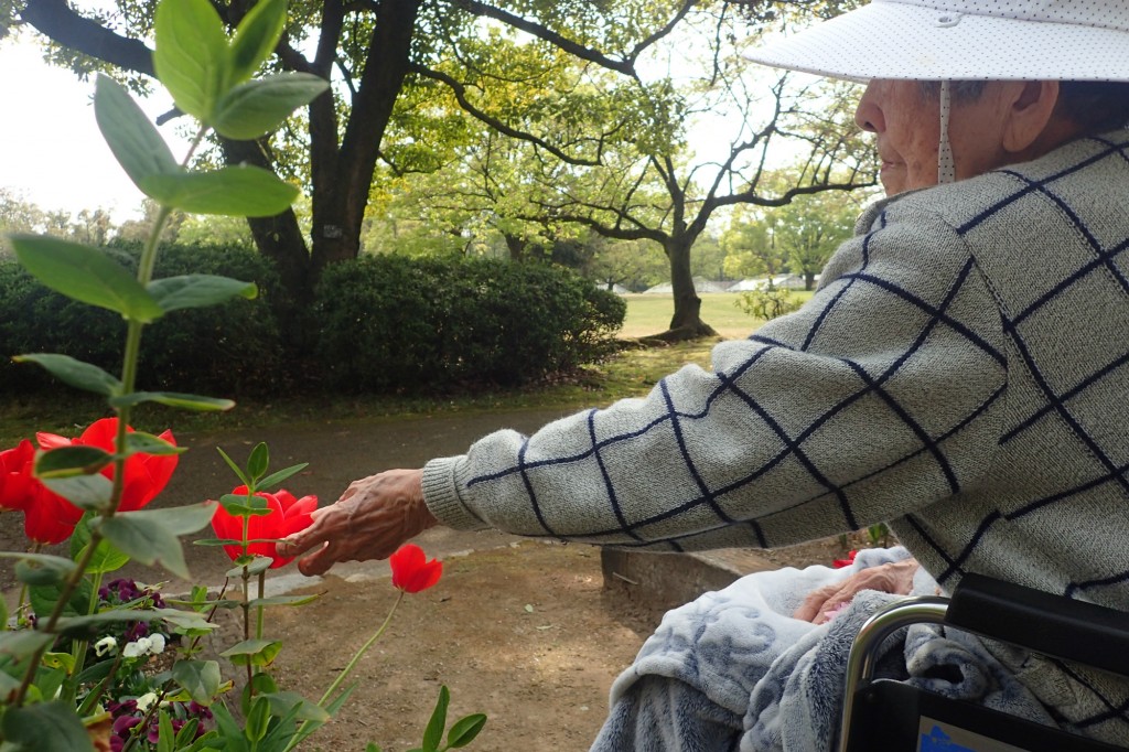 お花見 in グリーンセンター
