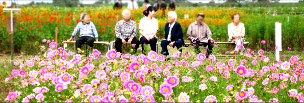 長寿の郷：長寿の郷デイホームおもいでな（デイ）