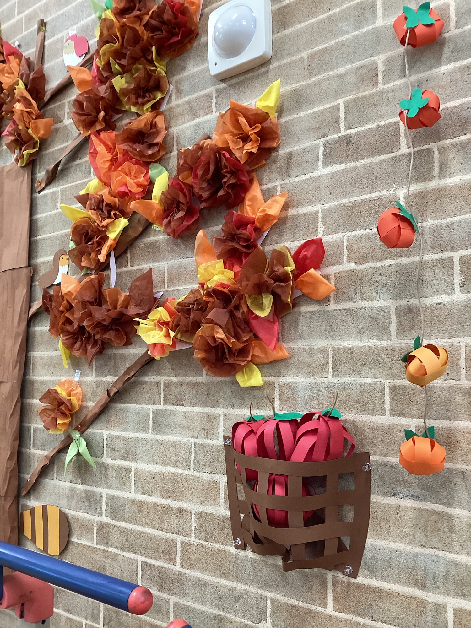 秋を感じる季節になりました🍂